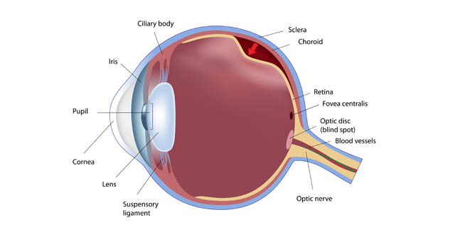 Distacco di retina